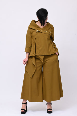 Pantagonna bengalina - Oliva