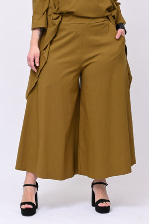 Pantagonna bengalina - Oliva