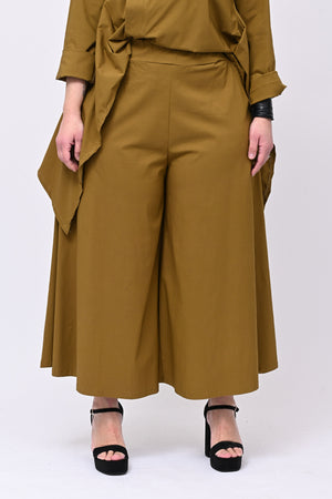 Pantagonna bengalina - Oliva