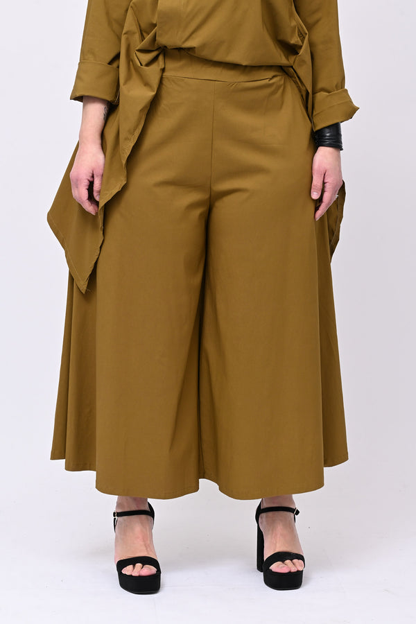 Pantagonna bengalina - Oliva