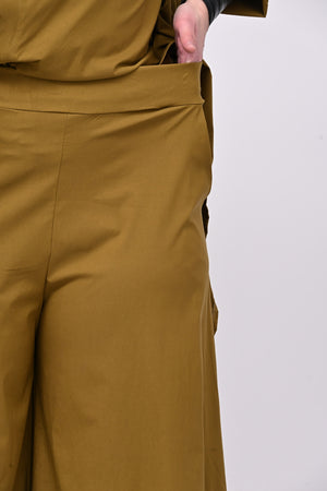 Pantagonna bengalina - Oliva