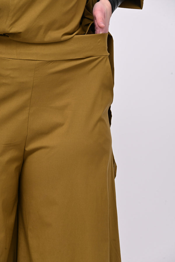 Pantagonna bengalina - Oliva