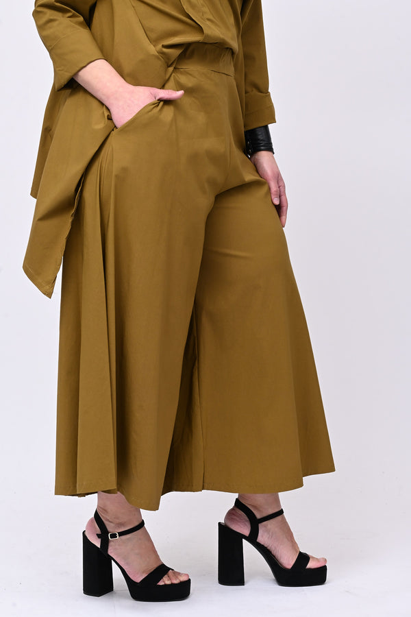 Pantagonna bengalina - Oliva