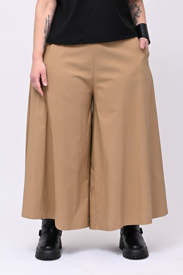 Pantagonna bengalina - Camel