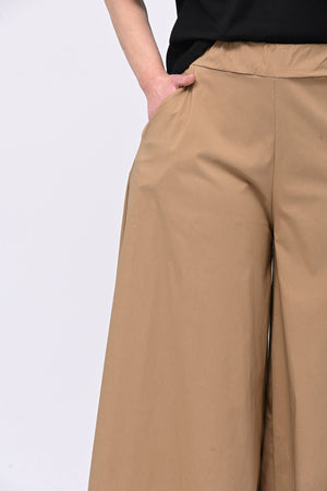 Pantagonna bengalina - Camel