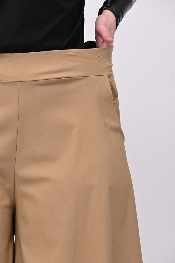 Pantagonna bengalina - Camel