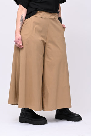 Pantagonna bengalina - Camel