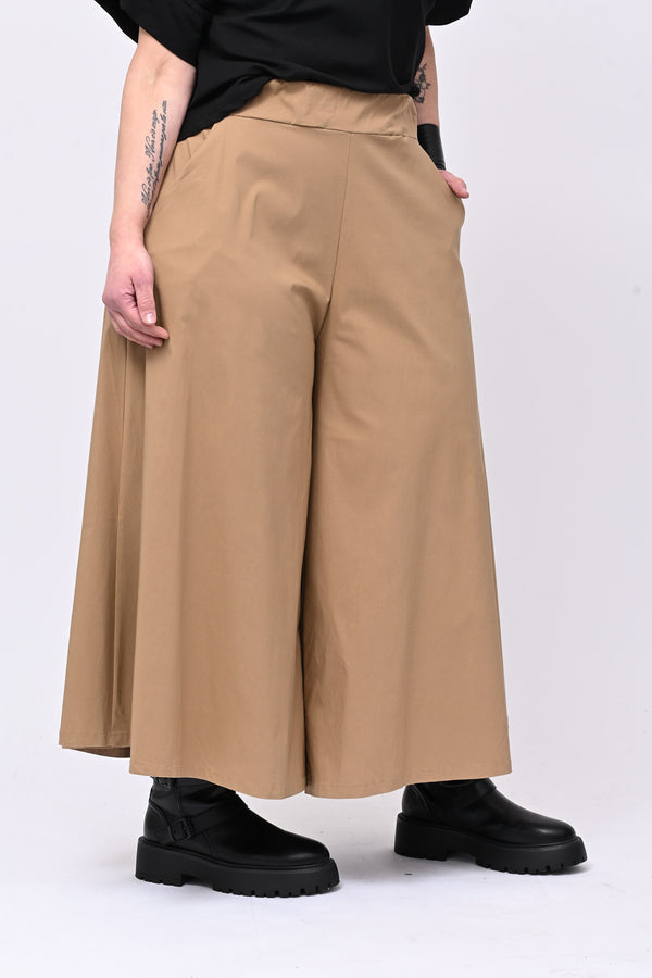 Pantagonna bengalina - Camel