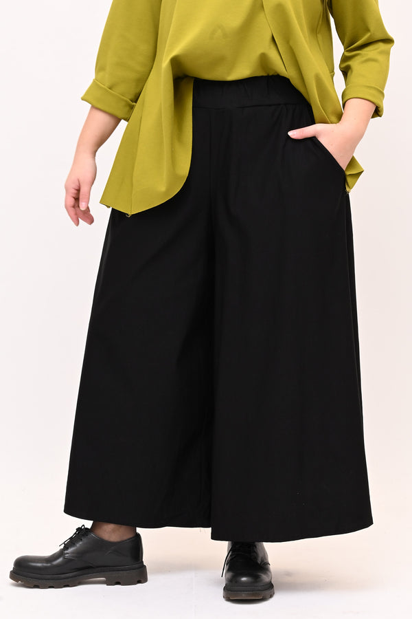 Pantagonna bengalina - Nero