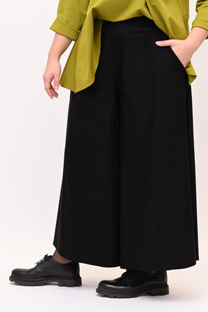 Pantagonna bengalina - Nero