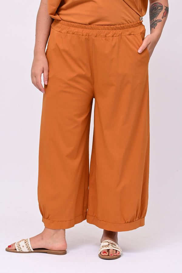 Pantabaloon bengalina - Coccio