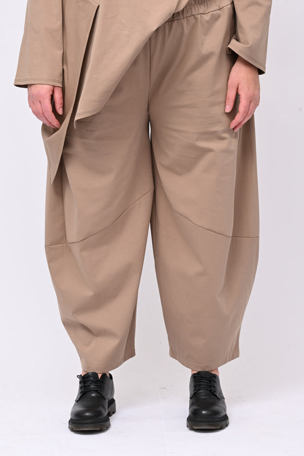 Completo ali - Biscotto